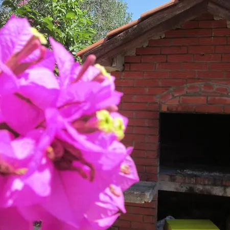Carmen Apartment Bibinje